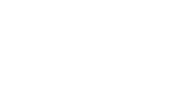 Liquid-Plumr (Clorox)
